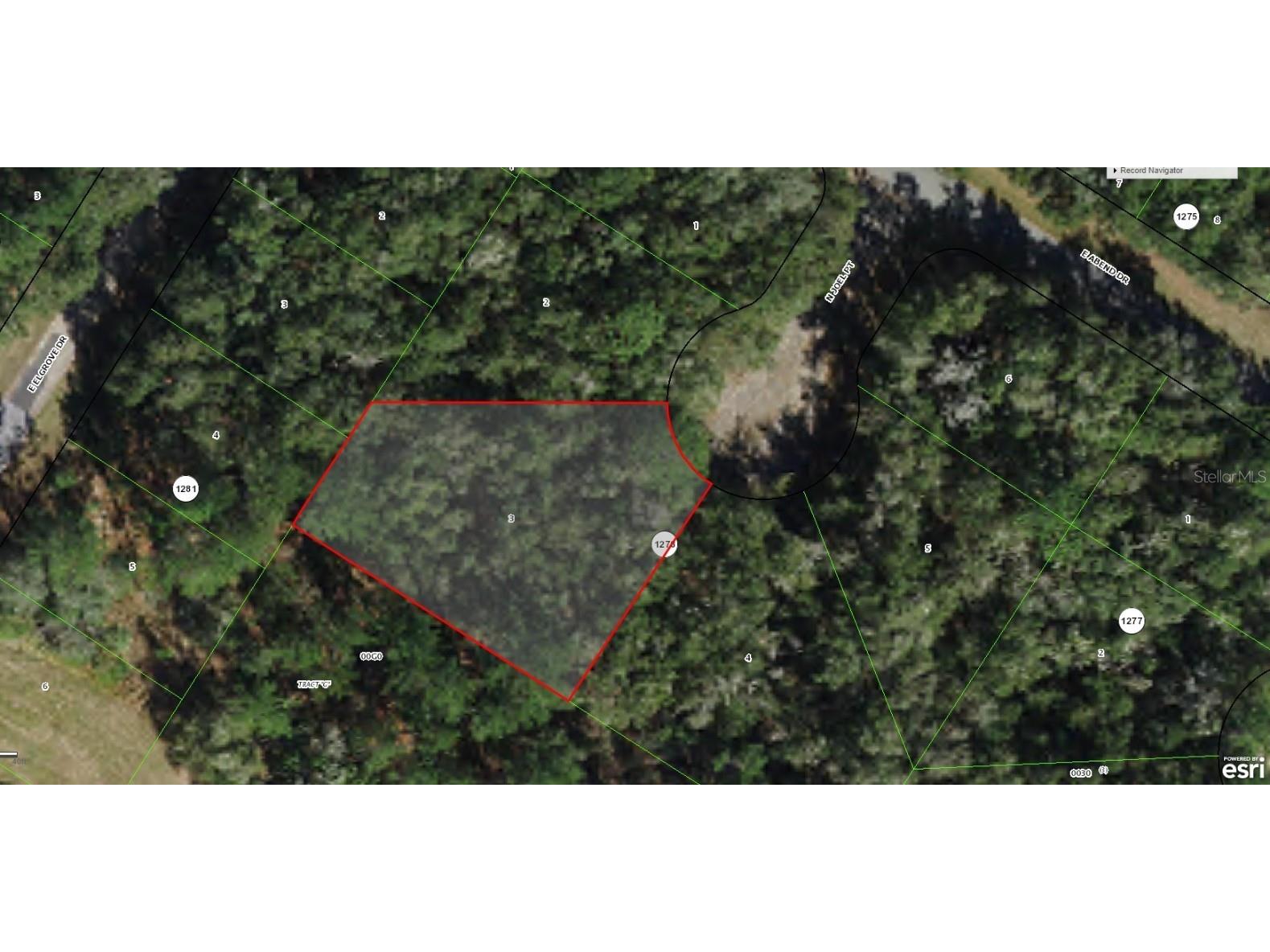 9930 N Joel Point Citrus Springs FL 34434 A4565765 image1