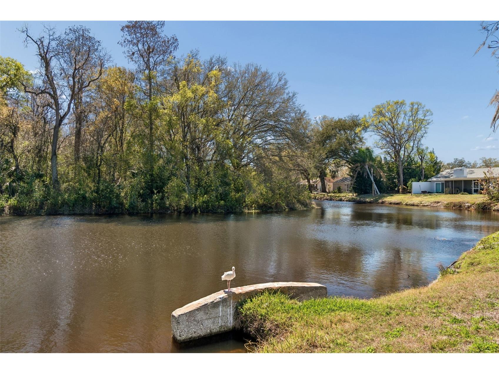 9930 Nicklaus Drive New Port Richey FL 34655 TB8479830 image56