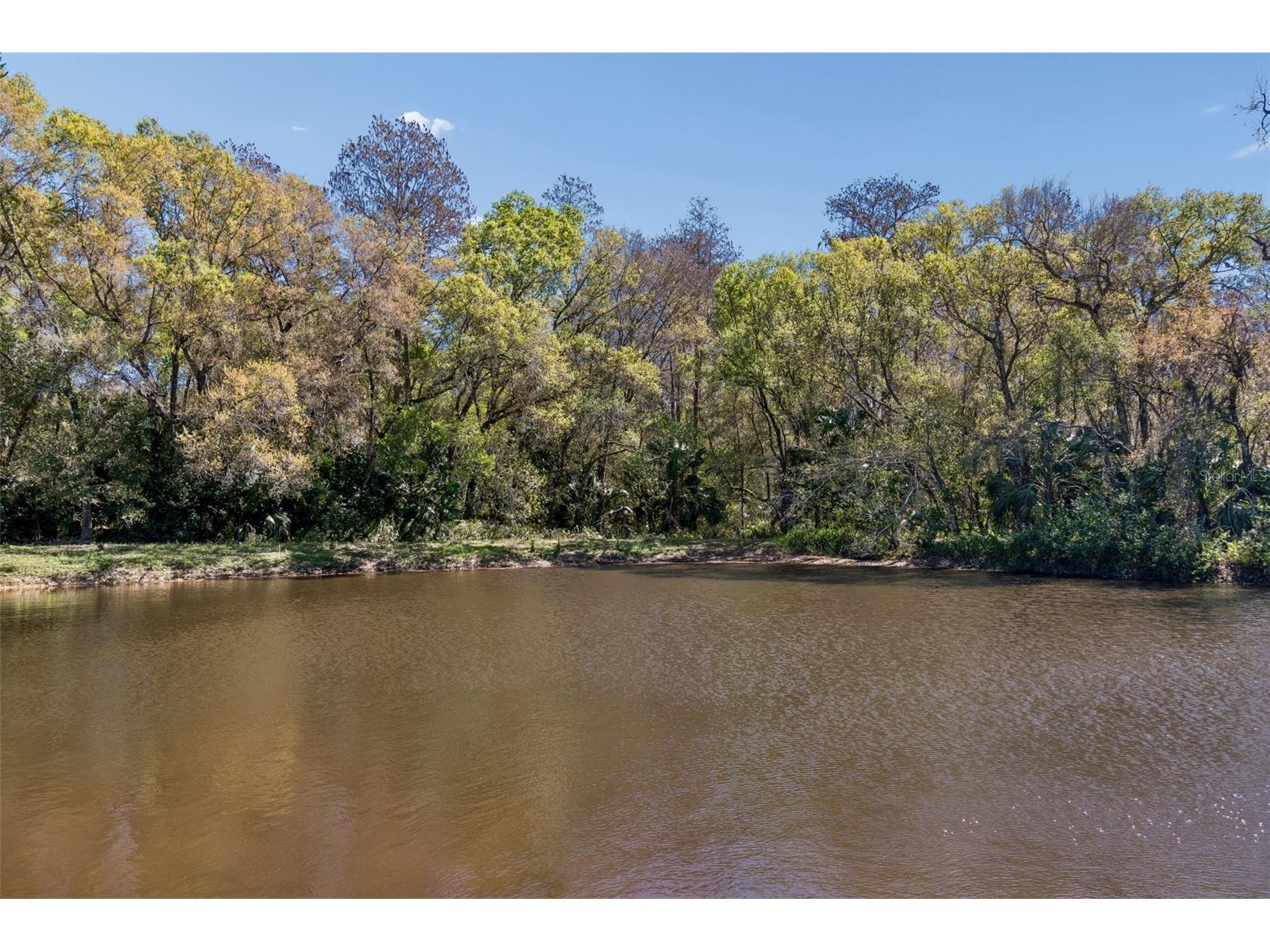 9930 Nicklaus Drive New Port Richey FL 34655 TB8479830 image57