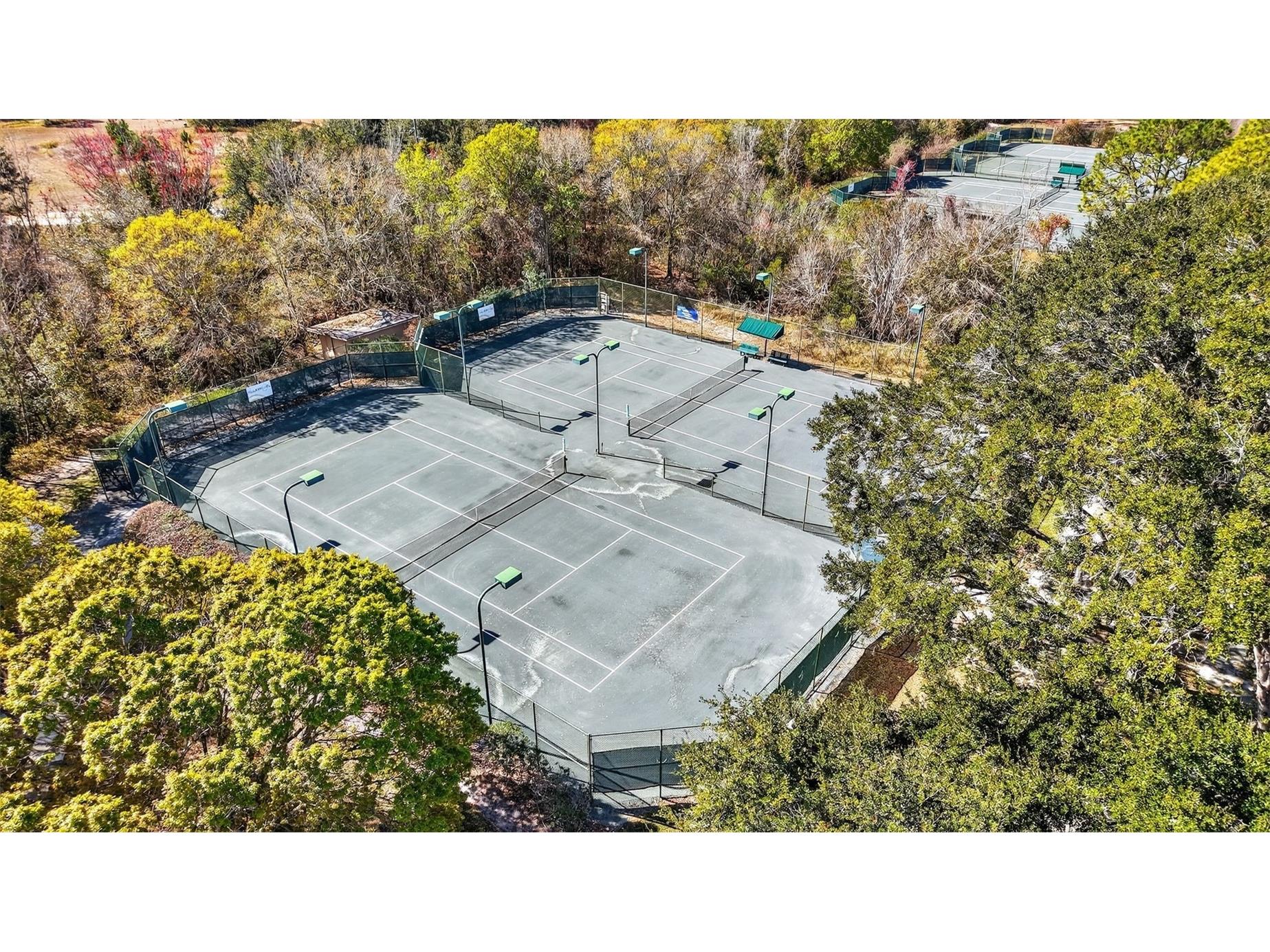 9930 Santa Barbara Court Howey In The Hills FL 34737 A4681126 image37