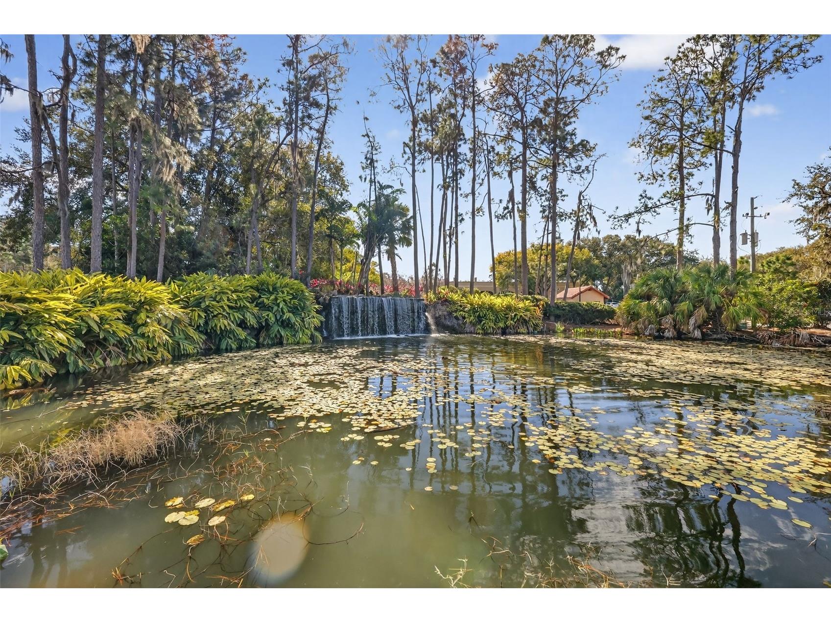 9930 Santa Barbara Court Howey In The Hills FL 34737 A4681126 image38