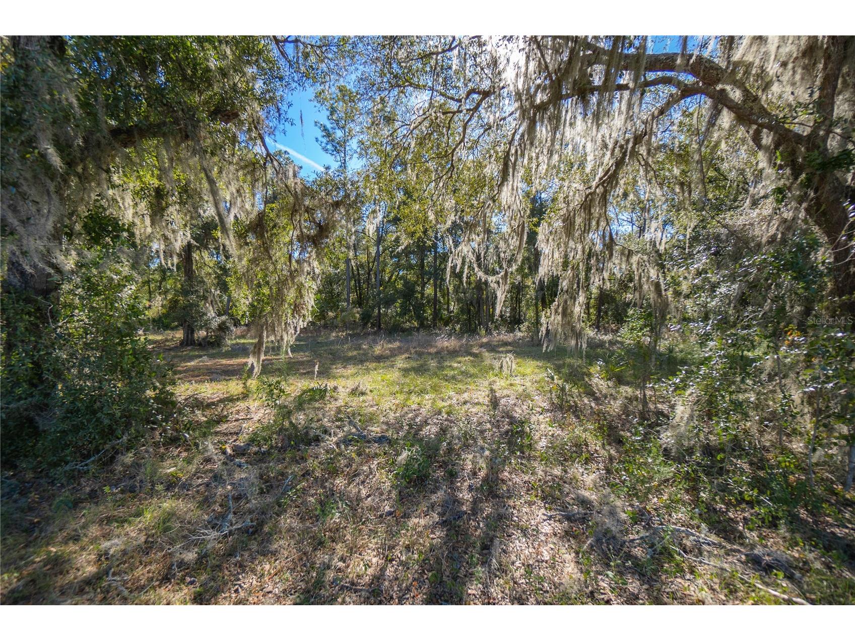 9930 W Pomegranate Street Crystal River FL 34428 W7870438 image1
