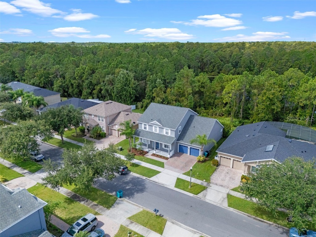 9932 Caroline Park Drive Orlando FL 32832 O6343061 image47