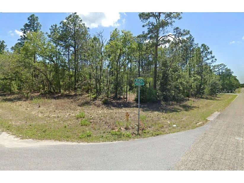 9932 N Lovell Drive Citrus Springs FL 34433 O6114882 image1