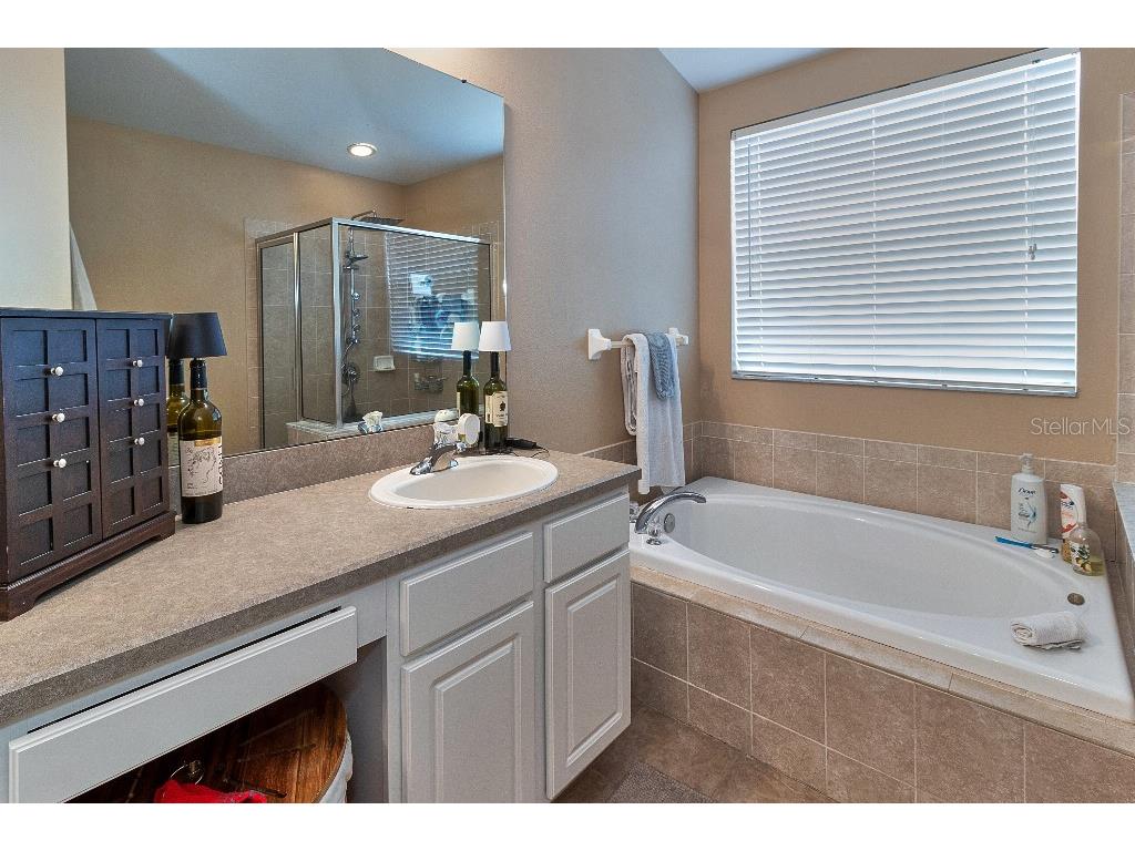 9932 Riverchase Drive New Port Richey FL 34655 TB8510751 image47