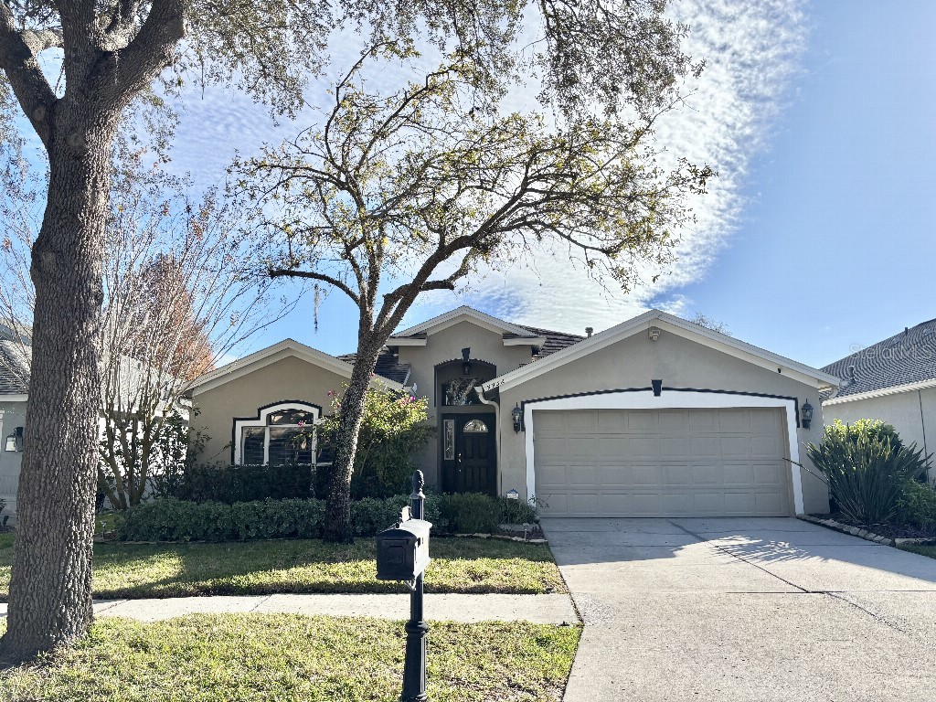 9932 Stockbridge Drive Tampa FL 33626 TB8464189 image1