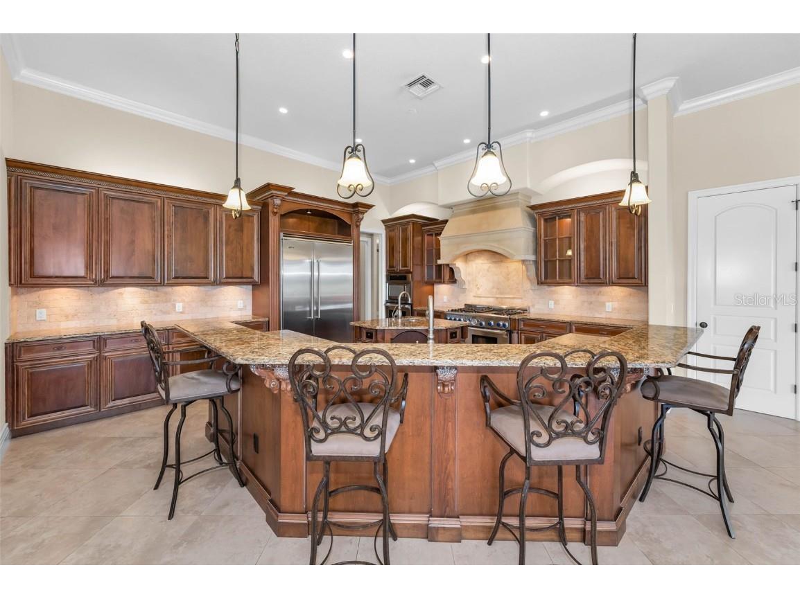 9933 Milano Drive Trinity FL 34655 W7875593 image21