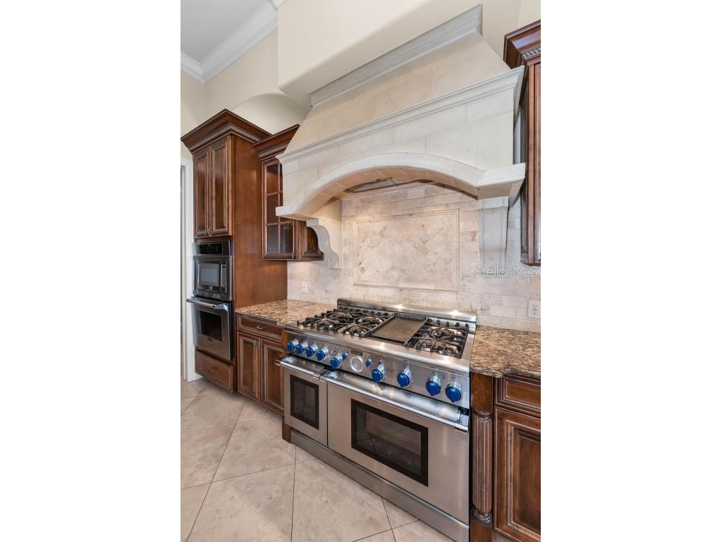 9933 Milano Drive Trinity FL 34655 W7875593 image22