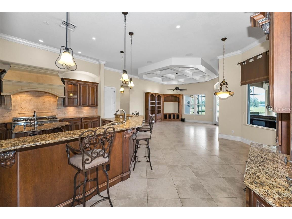 9933 Milano Drive Trinity FL 34655 W7875593 image30