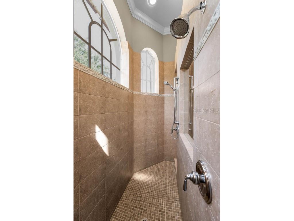 9933 Milano Drive Trinity FL 34655 W7875593 image37