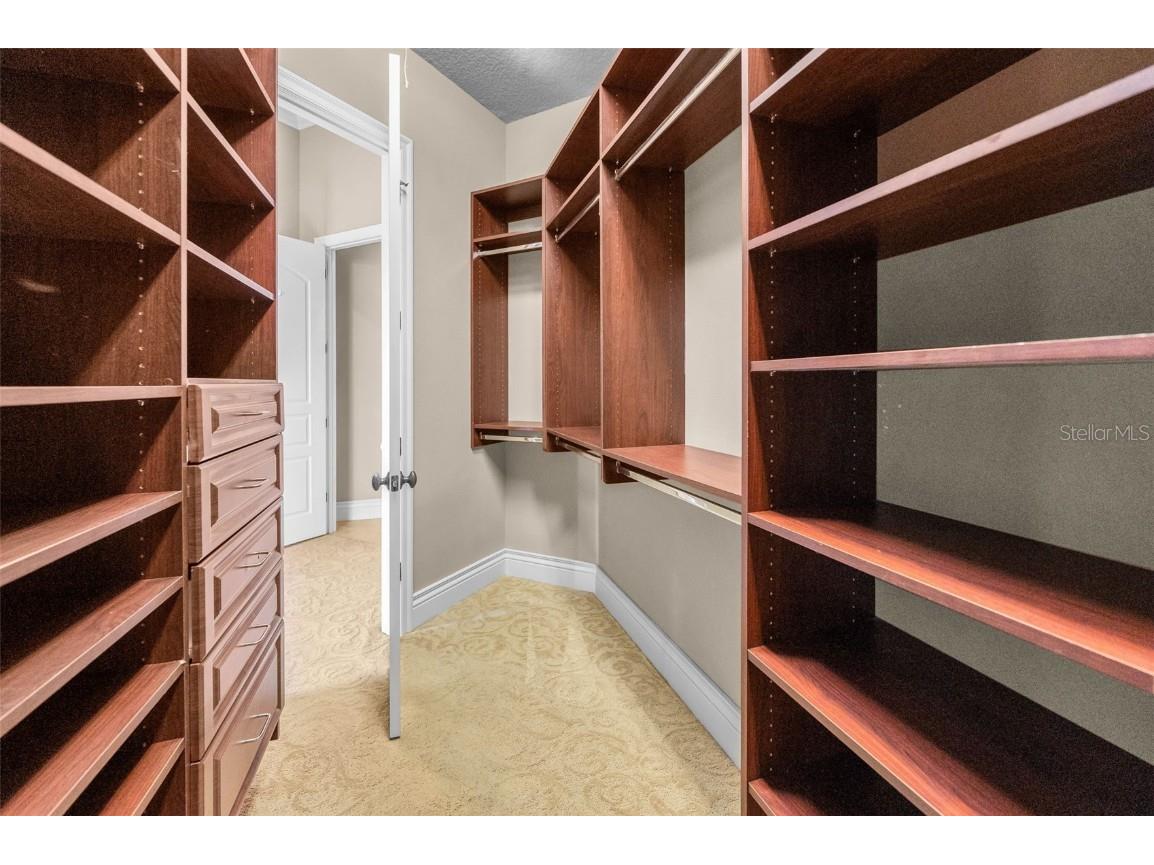 9933 Milano Drive Trinity FL 34655 W7875593 image39