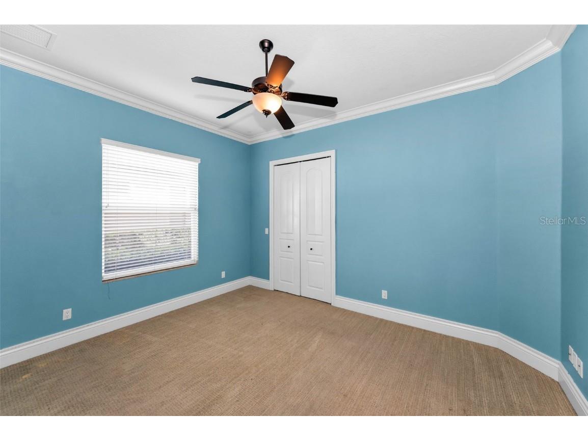 9933 Milano Drive Trinity FL 34655 W7875593 image44