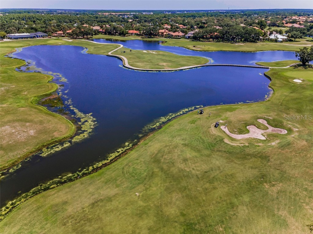 9933 Milano Drive Trinity FL 34655 W7875593 image77