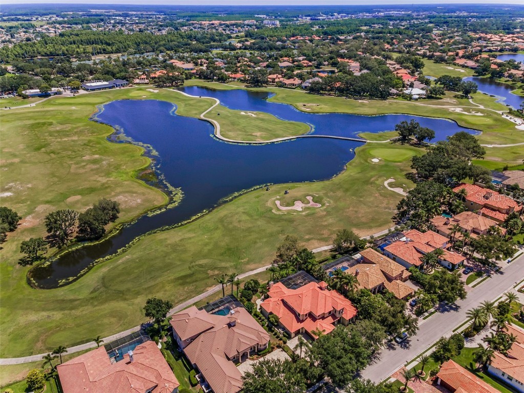 9933 Milano Drive Trinity FL 34655 W7875593 image80