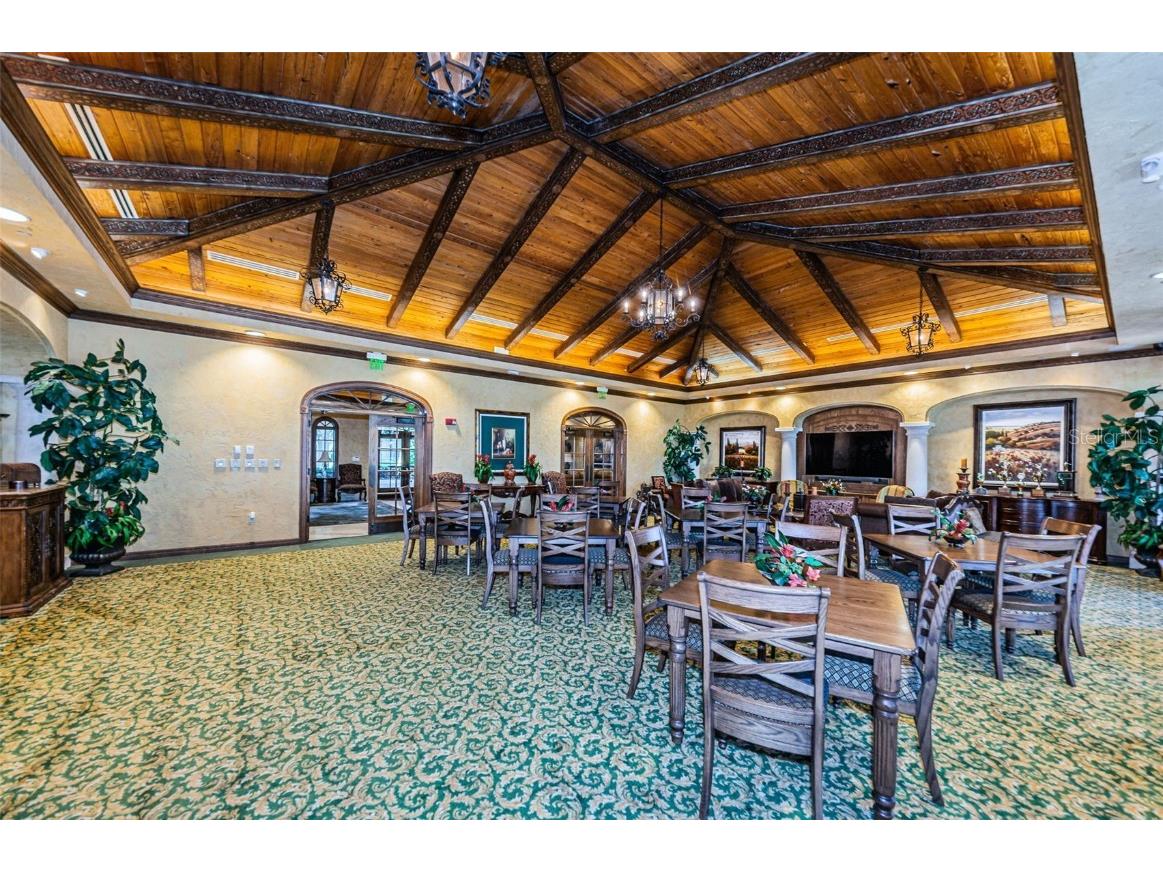 9933 Milano Drive Trinity FL 34655 W7875593 image85