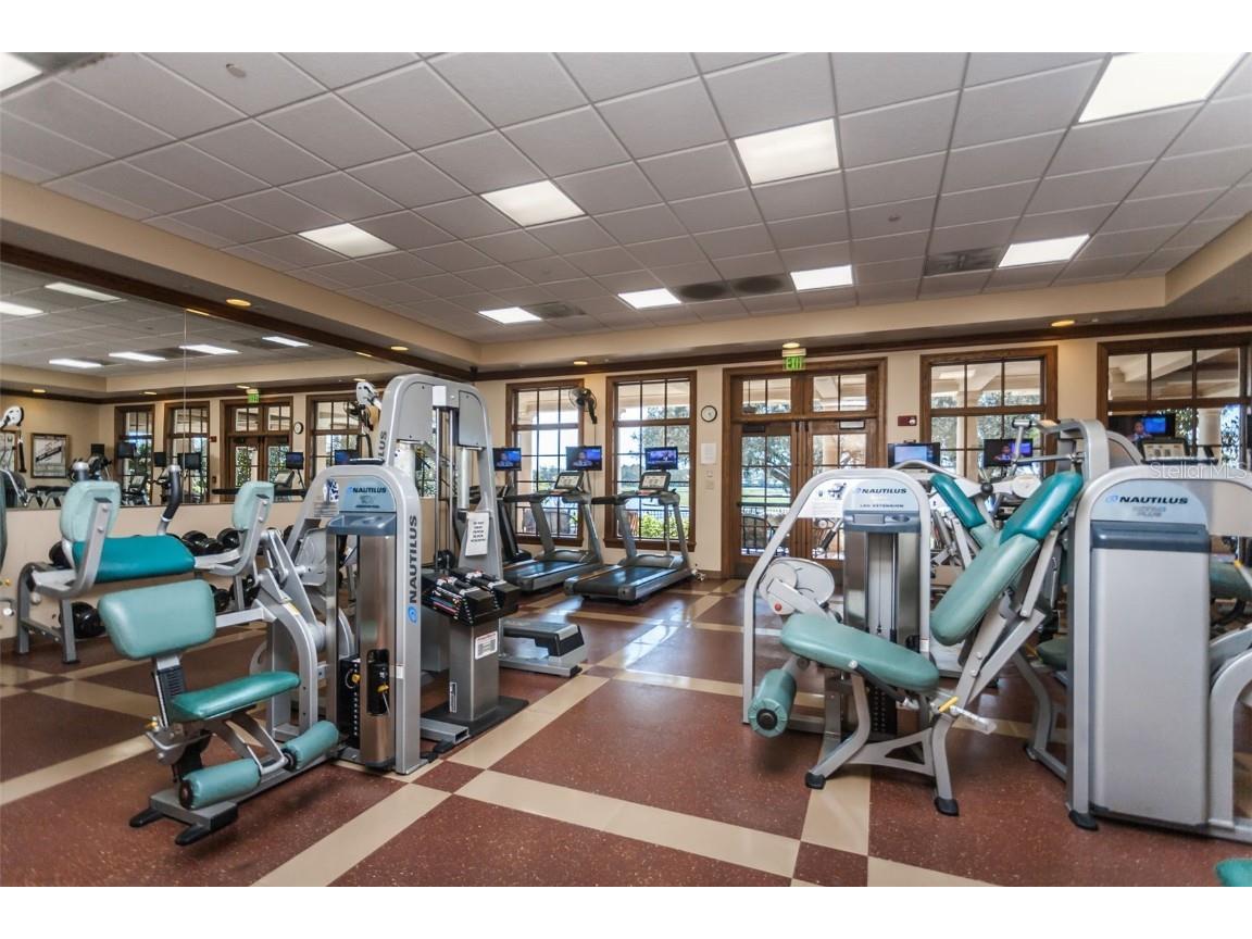 9933 Milano Drive Trinity FL 34655 W7875593 image86