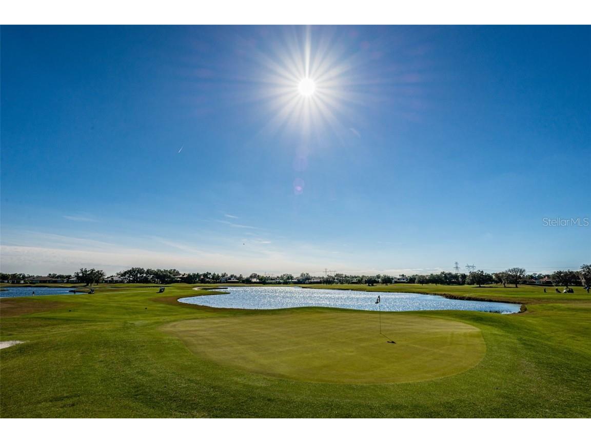 9933 Milano Drive Trinity FL 34655 W7875593 image94