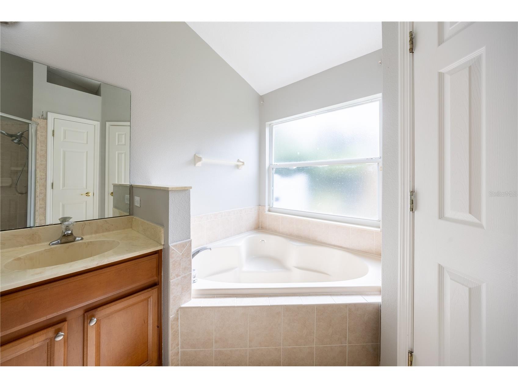 9933 Portofino Drive Orlando FL 32832 S5141919 image26