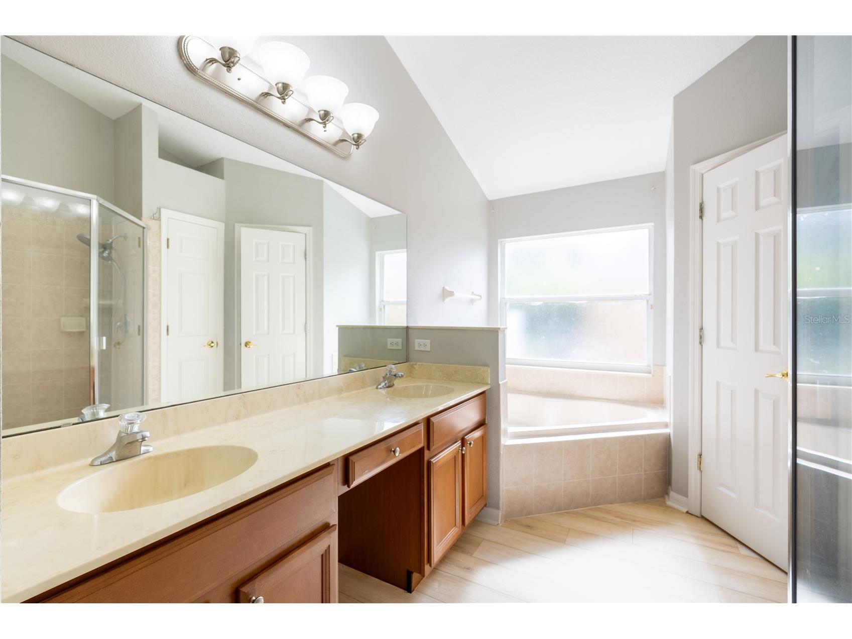 9933 Portofino Drive Orlando FL 32832 S5141919 image27