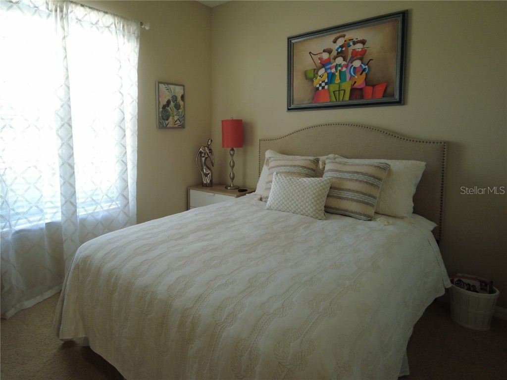 9933 Saunton Drive San Antonio FL 33576 TB8445513 image16