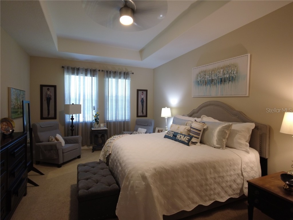 9933 Saunton Drive San Antonio FL 33576 TB8445513 image17