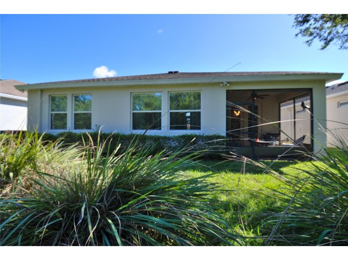 9933 Saunton Drive San Antonio FL 33576 TB8445513 image23