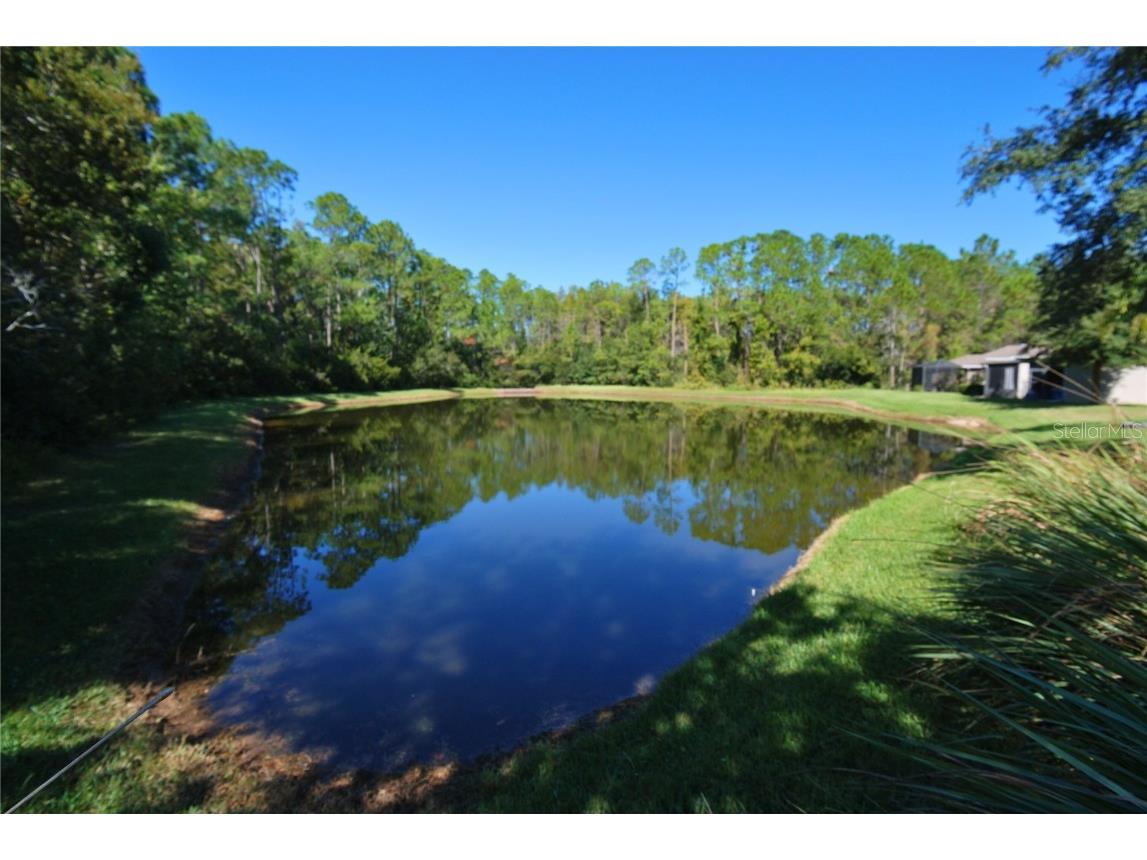 9933 Saunton Drive San Antonio FL 33576 TB8445513 image27