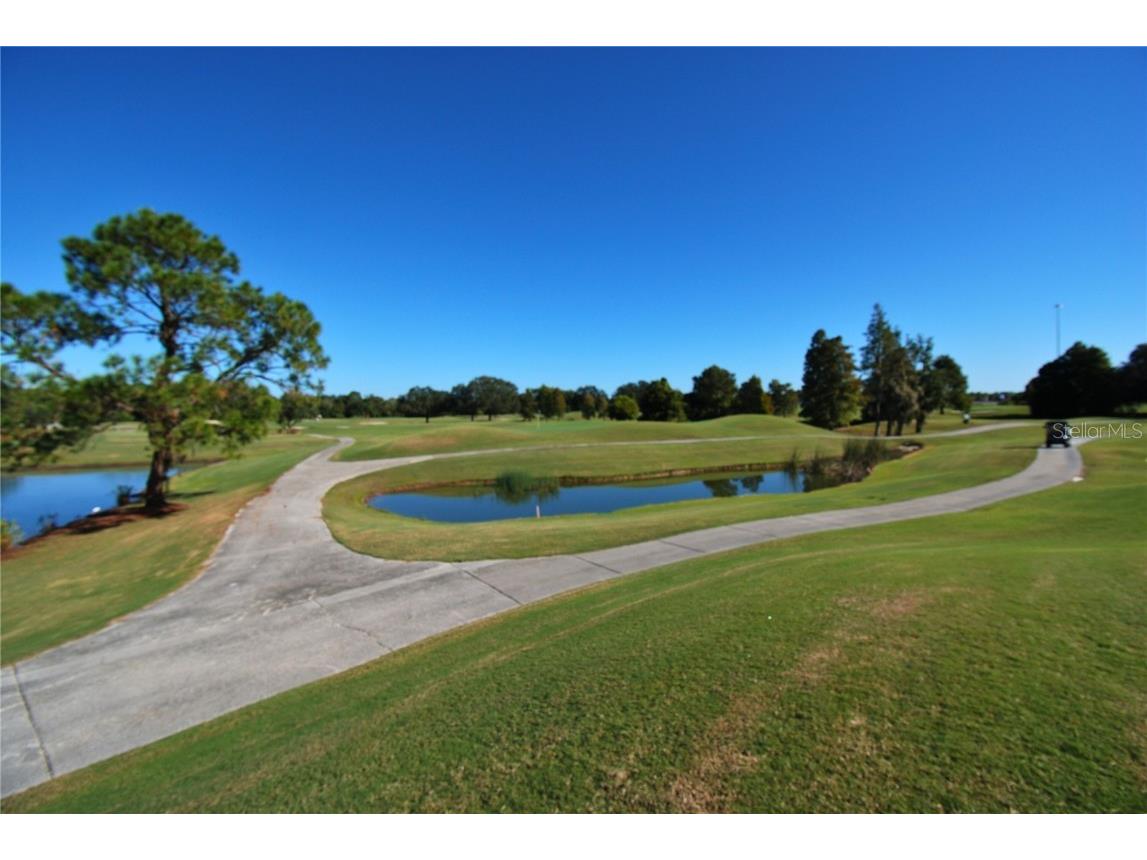 9933 Saunton Drive San Antonio FL 33576 TB8445513 image32