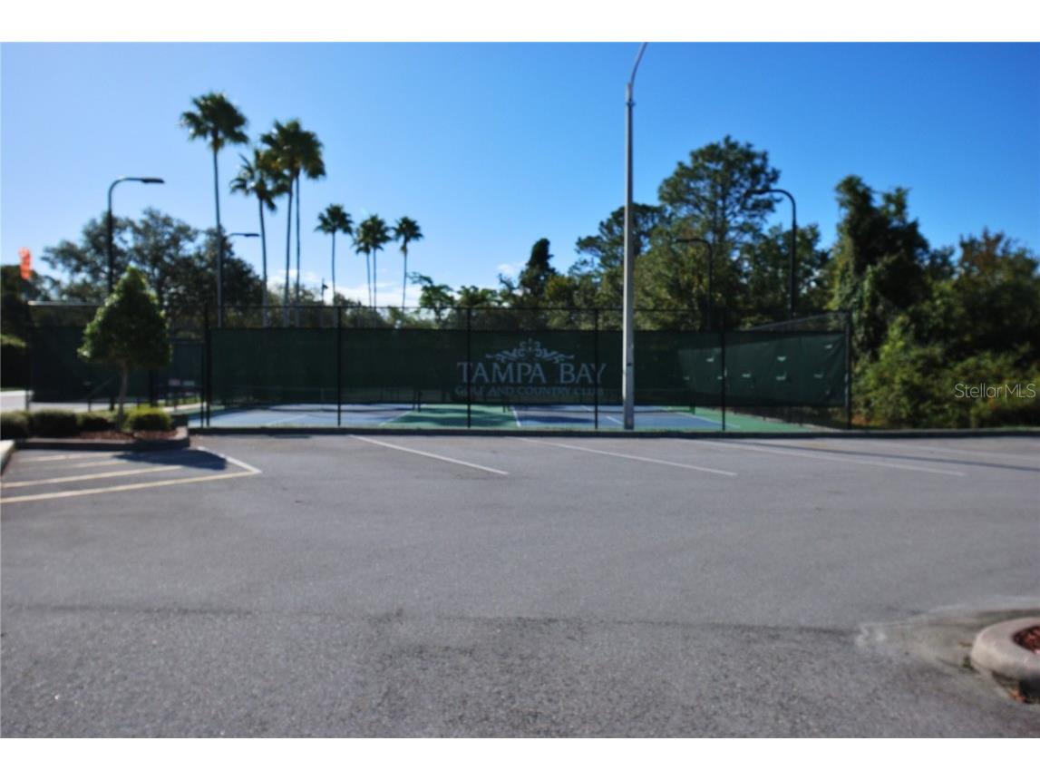 9933 Saunton Drive San Antonio FL 33576 TB8445513 image35