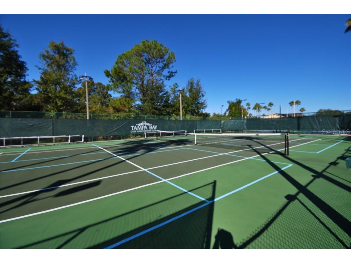 9933 Saunton Drive San Antonio FL 33576 TB8445513 image37