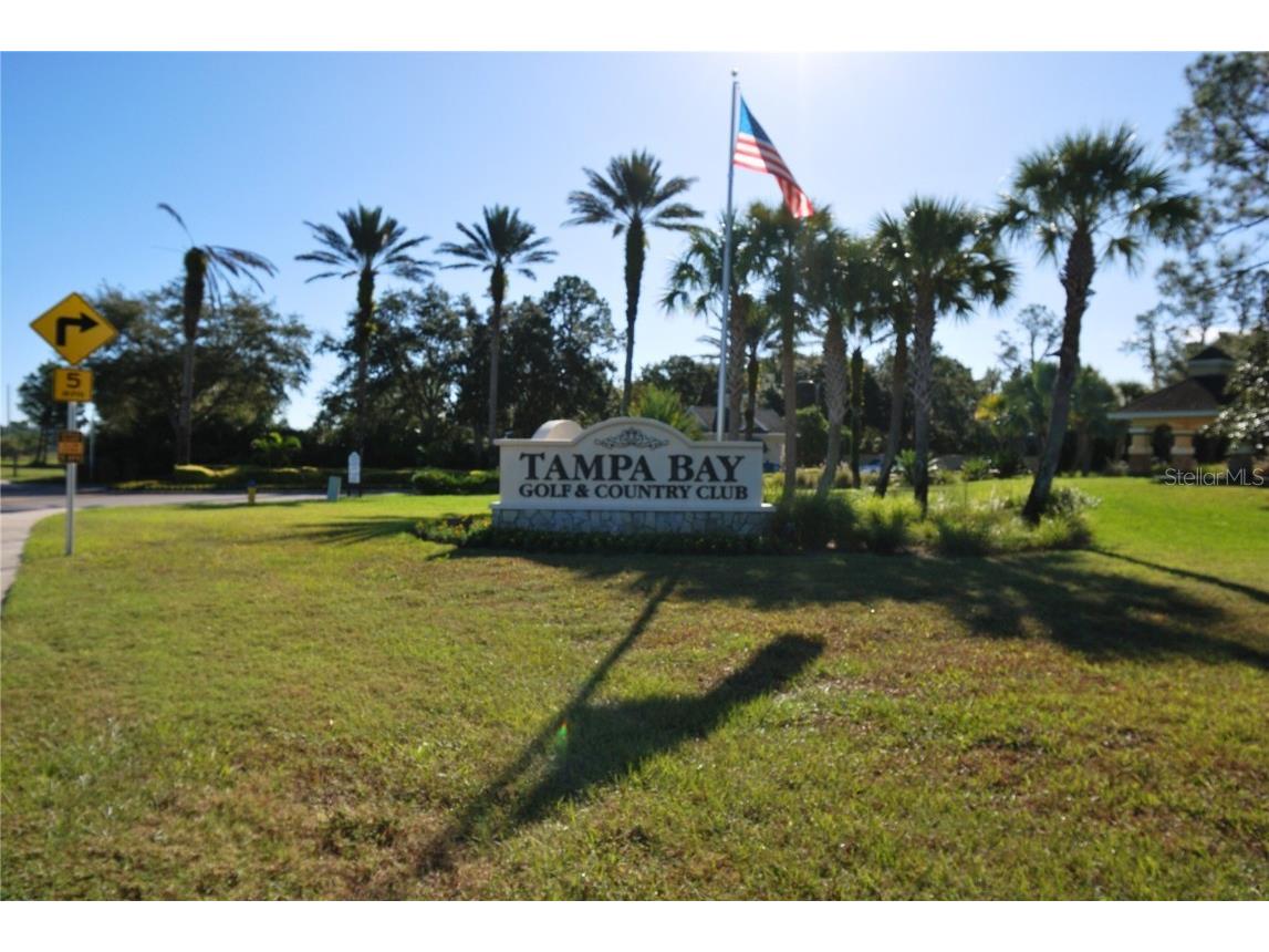 9933 Saunton Drive San Antonio FL 33576 TB8445513 image38