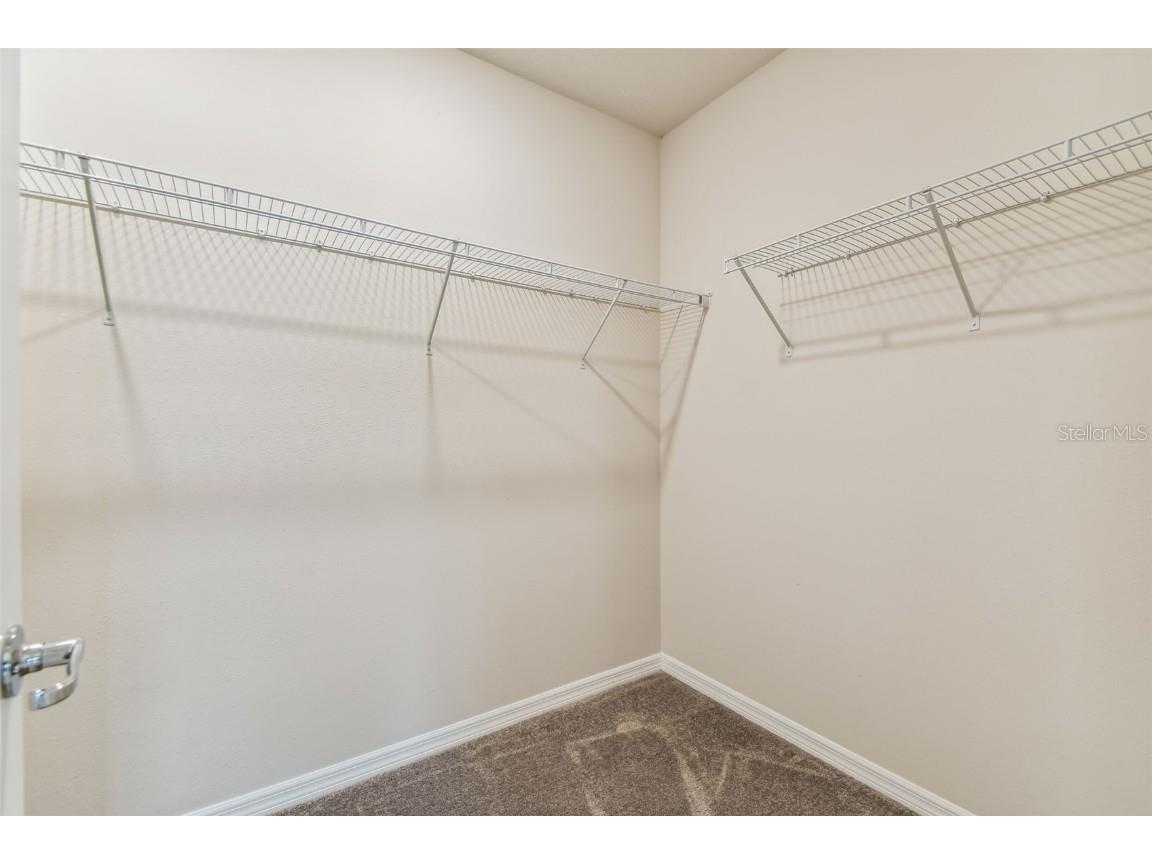 9934 Trellis Vine Way Parrish FL 34219 TB8440271 image10