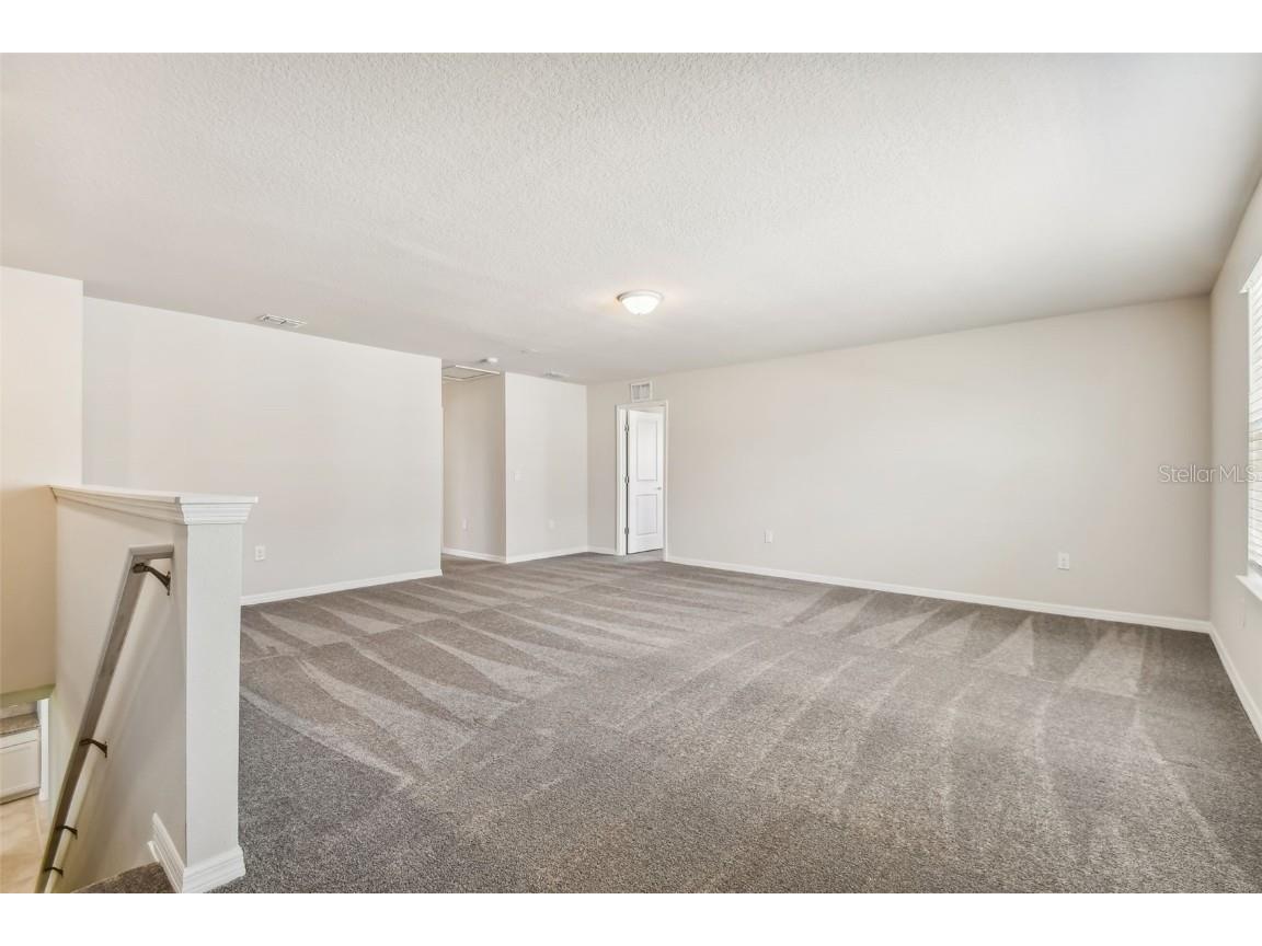 9934 Trellis Vine Way Parrish FL 34219 TB8440271 image13