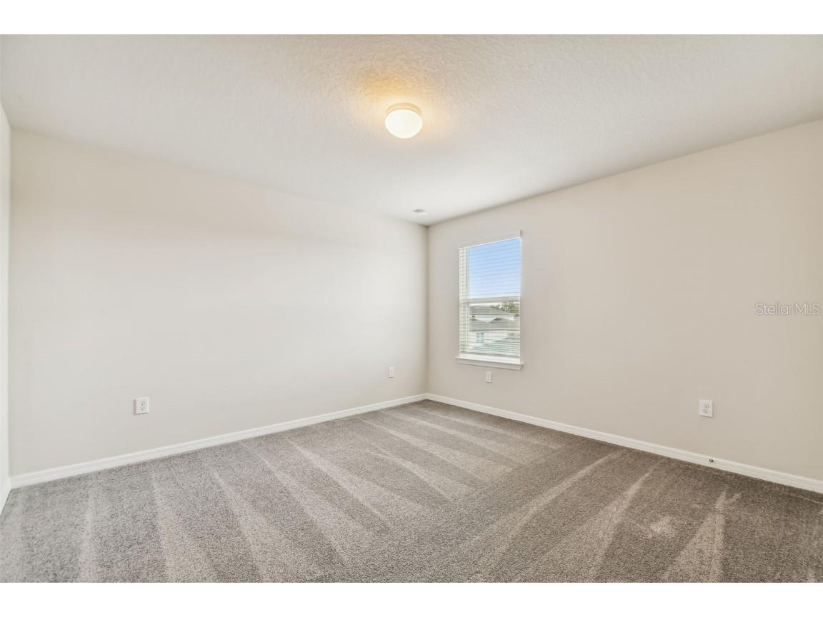 9934 Trellis Vine Way Parrish FL 34219 TB8440271 image21