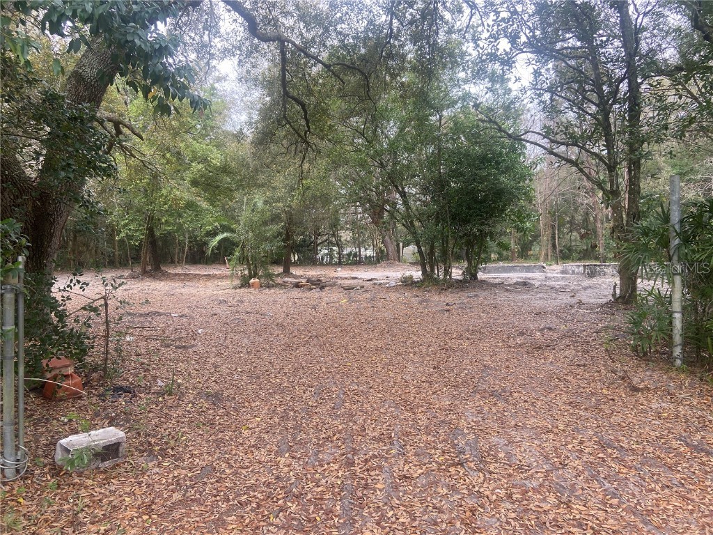 9935 E Fowler Avenue Thonotosassa FL 33592 T3503726 image1