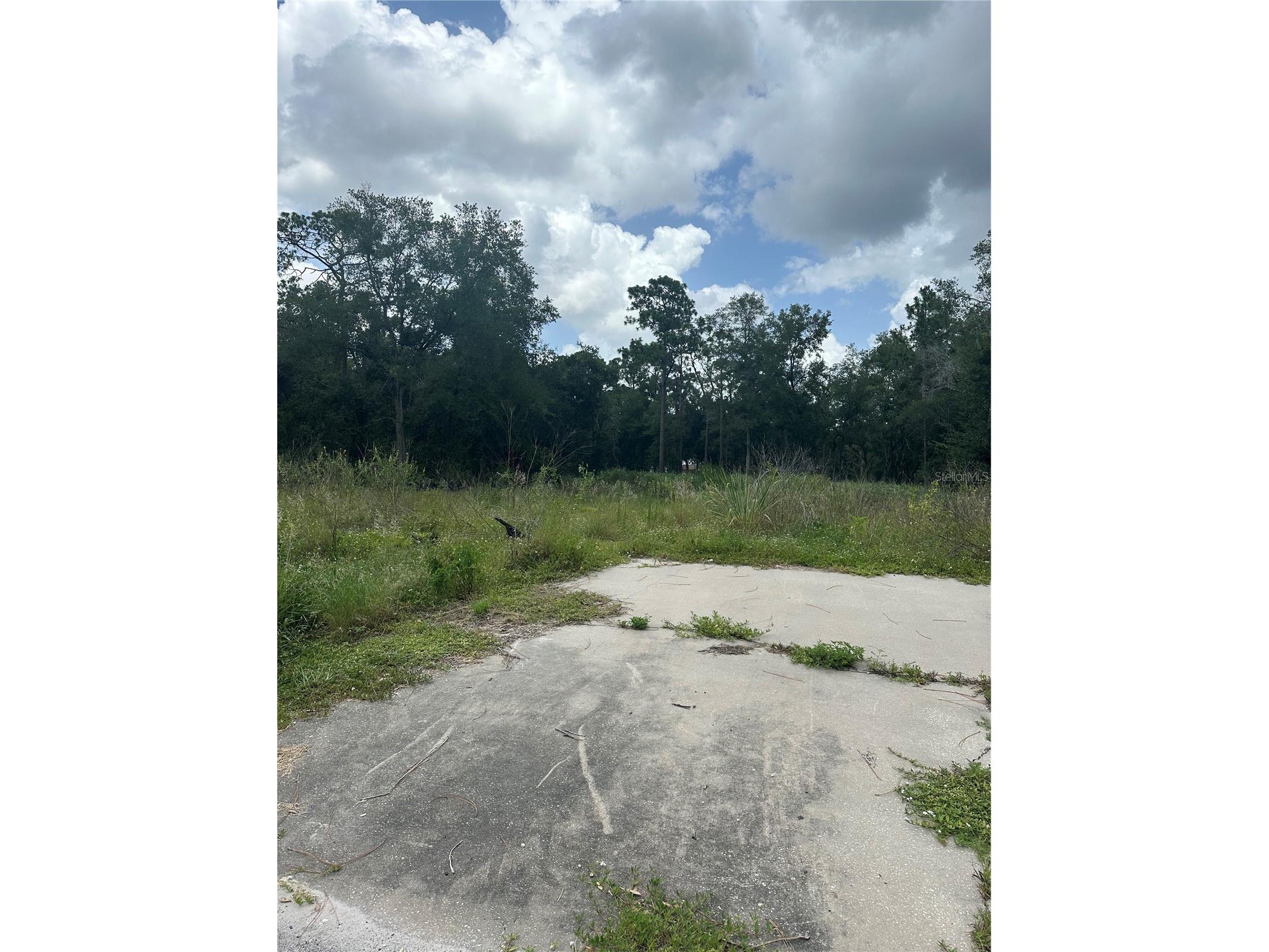 9935 Shadrack Court Orlando FL 32817 O6330476 image1