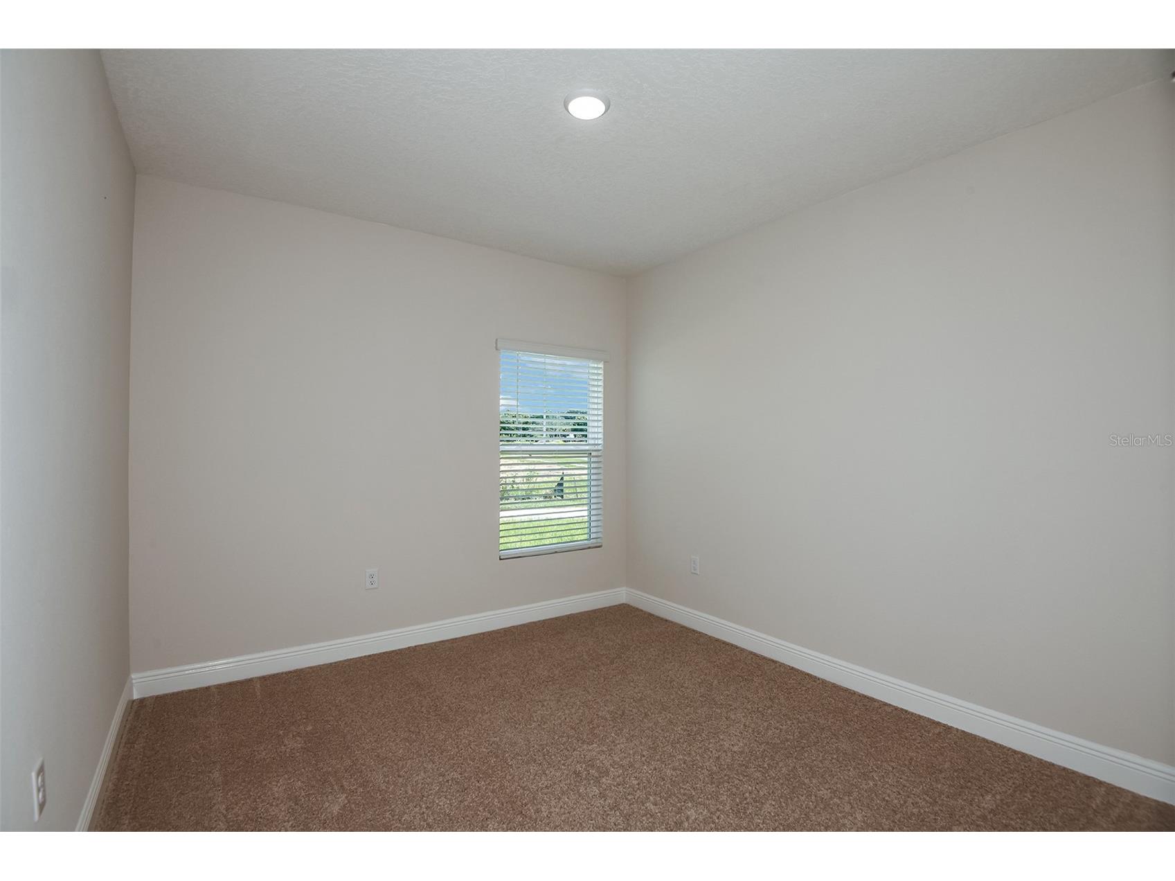 9936 Annunciation Drive Wesley Chapel FL 33545 TB8491953 image16