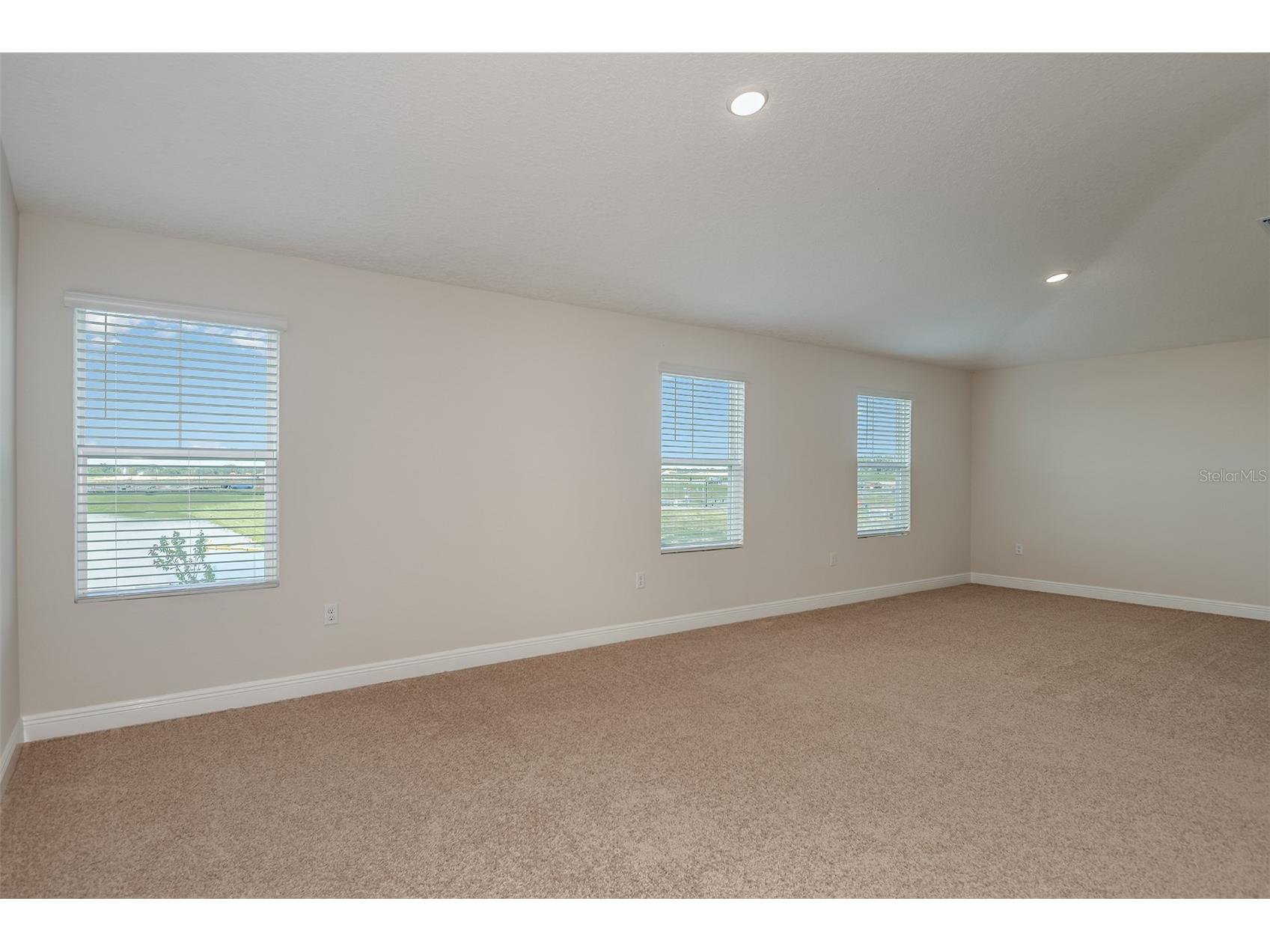 9936 Annunciation Drive Wesley Chapel FL 33545 TB8491953 image21