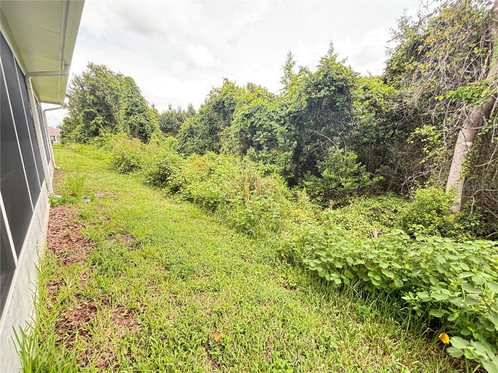 9936 Cleghorn Drive San Antonio FL 33576 TB8413879 image23