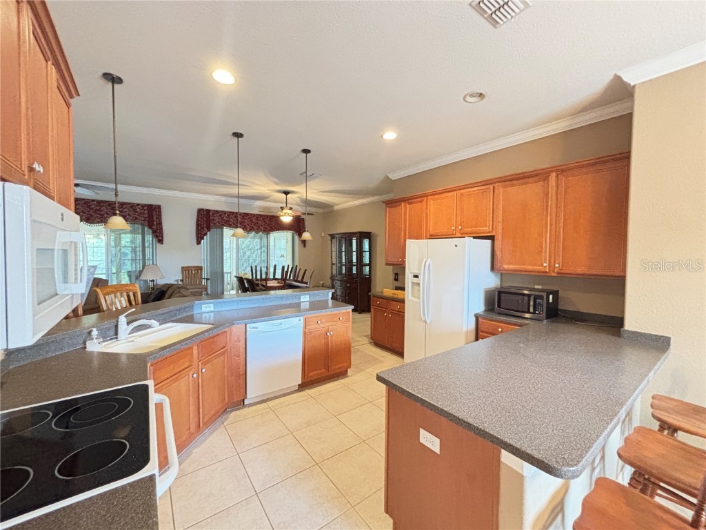 9936 Cleghorn Drive San Antonio FL 33576 TB8413879 image5