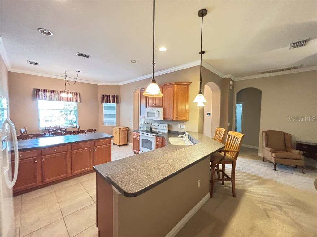 9936 Cleghorn Drive San Antonio FL 33576 TB8413879 image7