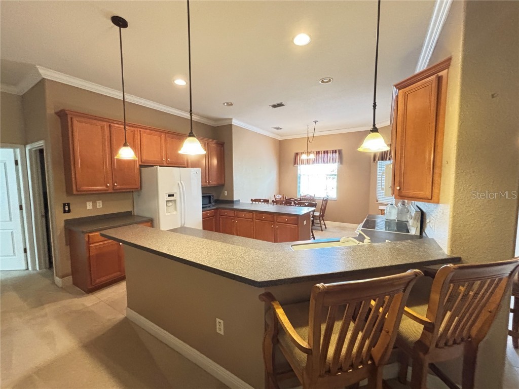 9936 Cleghorn Drive San Antonio FL 33576 TB8413879 image8