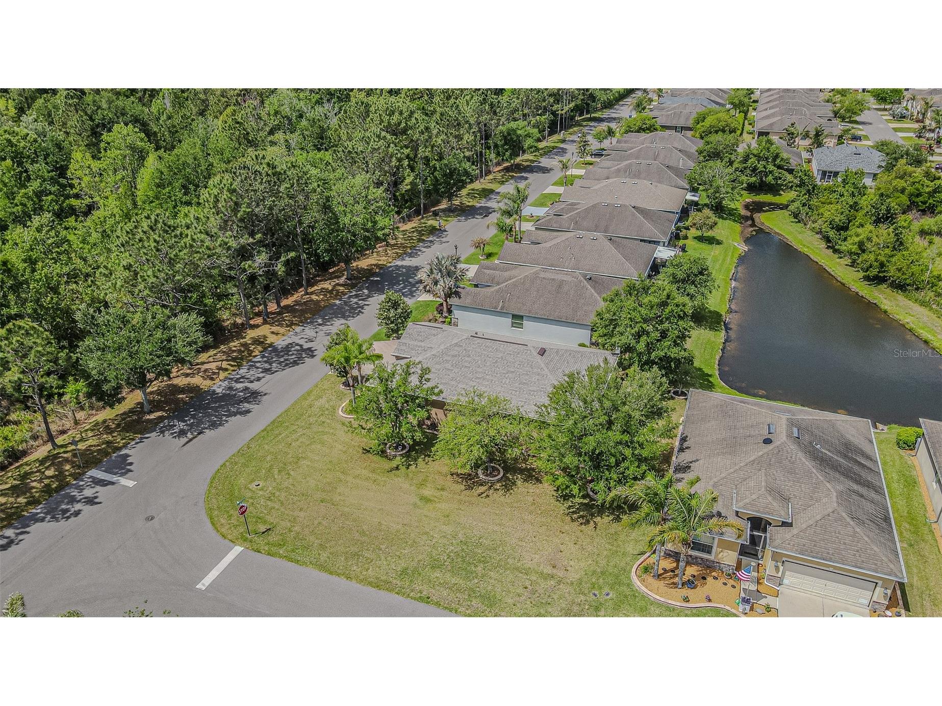 9936 Gap Wedge Drive San Antonio FL 33576 TB8493850 image25