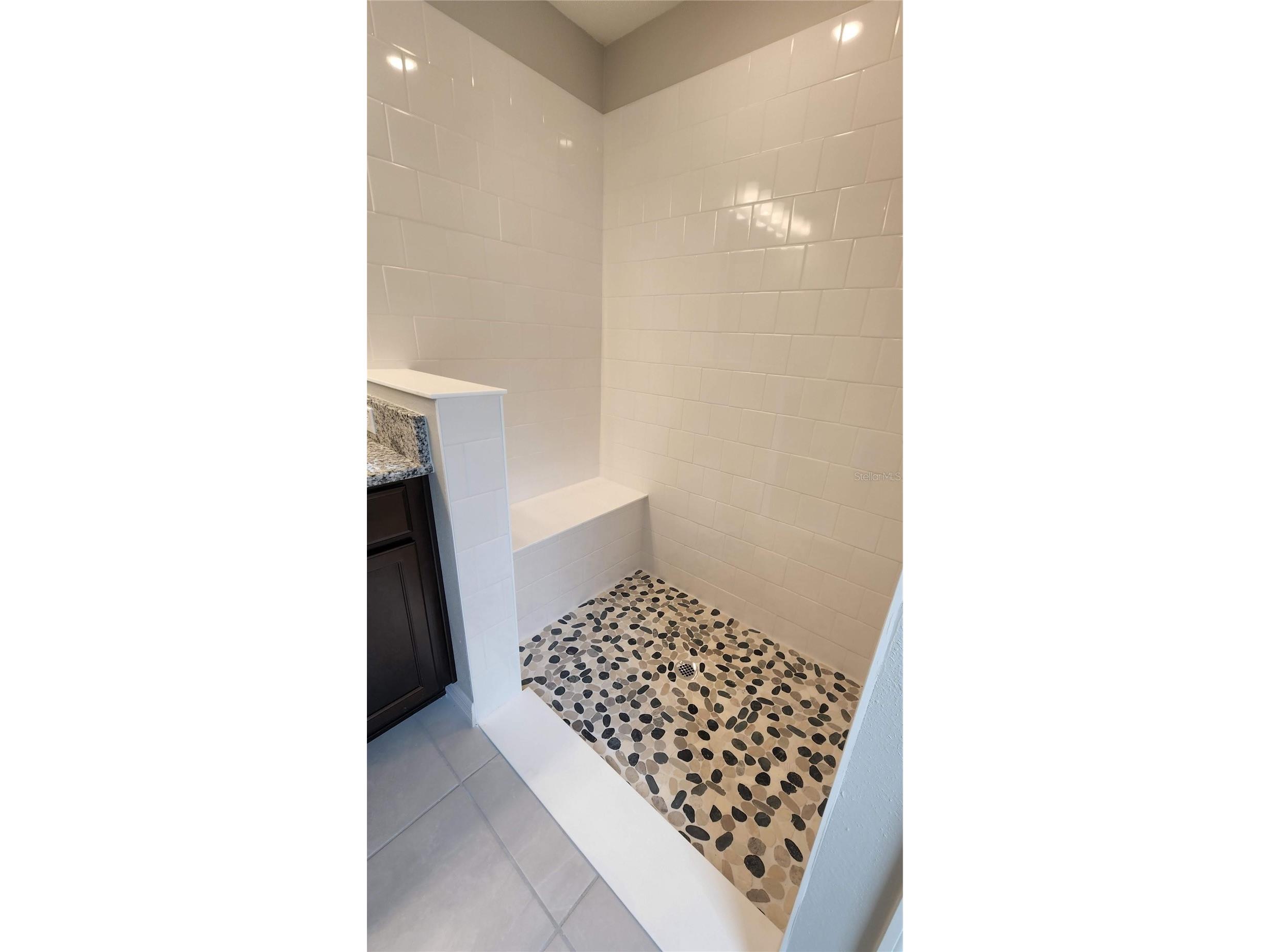9938 Mesic Woods Avenue Seffner FL 33584 TB8519294 image19