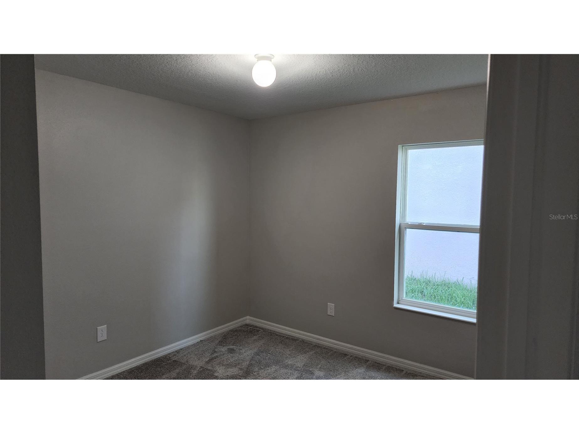 9938 Mesic Woods Avenue Seffner FL 33584 TB8519294 image22