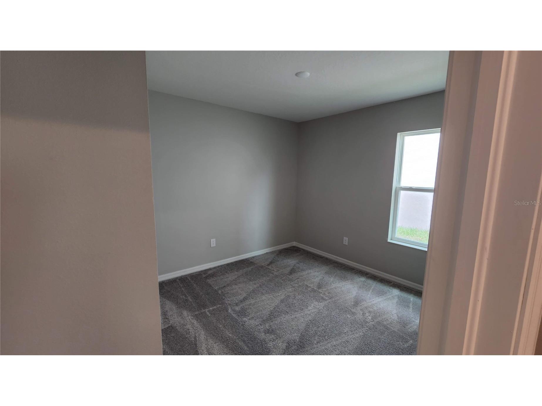 9938 Mesic Woods Avenue Seffner FL 33584 TB8519294 image24