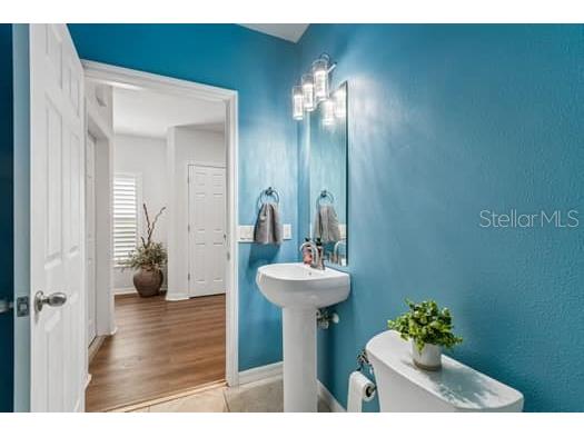 994 Celtic Circle Tarpon Springs FL 34689 W7886108 image22