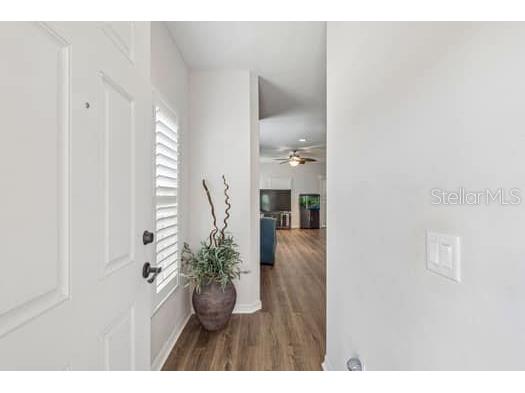 994 Celtic Circle Tarpon Springs FL 34689 W7886108 image24