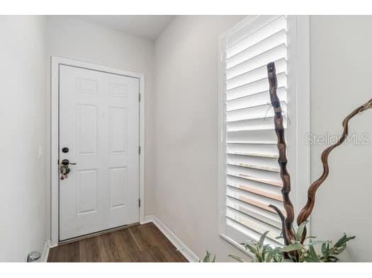 994 Celtic Circle Tarpon Springs FL 34689 W7886108 image26