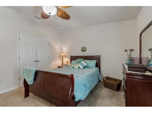 994 Celtic Circle Tarpon Springs FL 34689 W7886108 image30